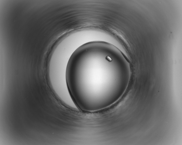 X0000089741018200707051753