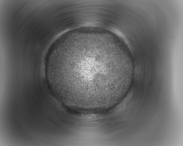 X0000089741019200707051753