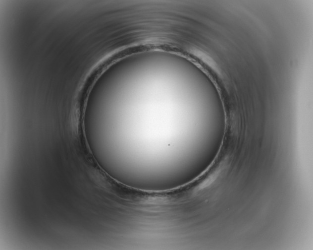 X0000089741021200707051753