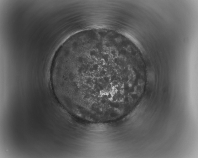 X0000089741023200707051753