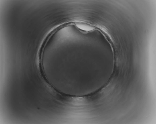 X0000089741024200707051753