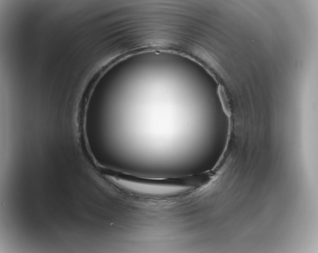 X0000089741026200707051753