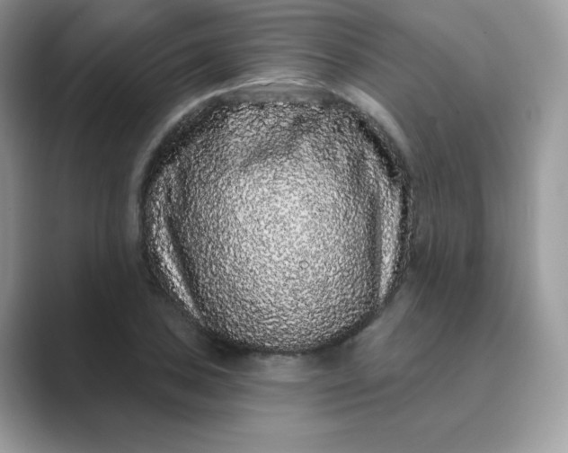 X0000089741027200707051753