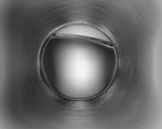 X0000089741028200707051753