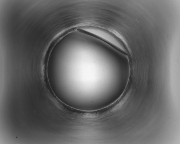 X0000089741029200707051753