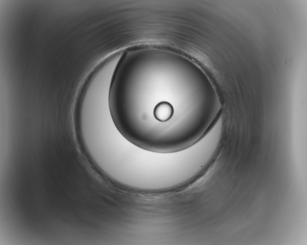 X0000089741030200707051753