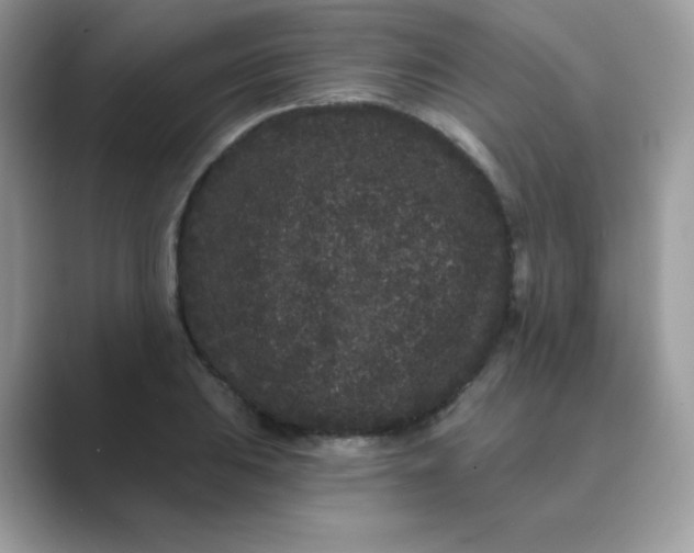 X0000089741031200707051753