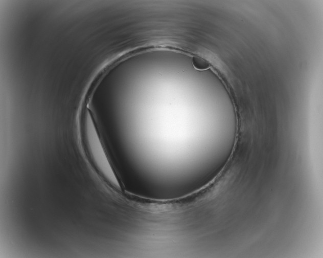 X0000089741032200707051753