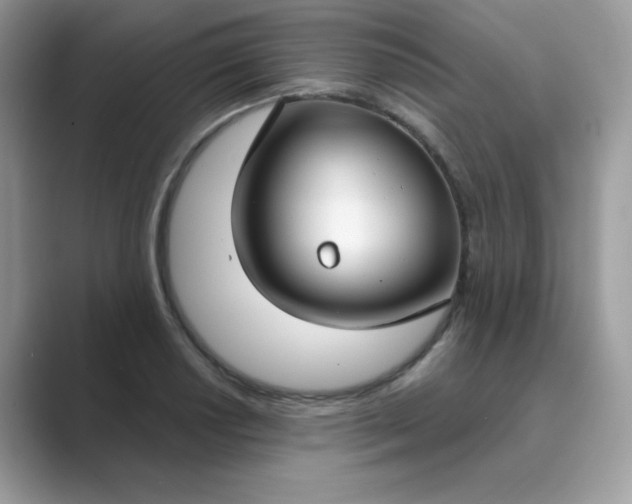 X0000089741034200707051753