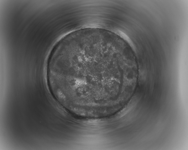 X0000089741035200707051753