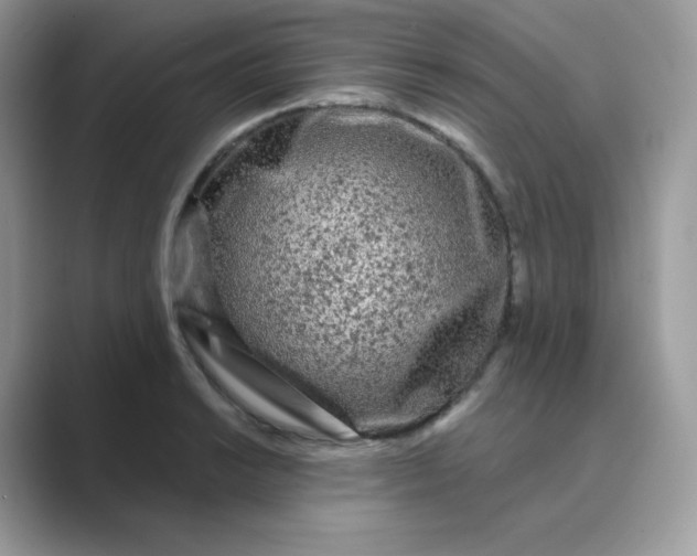 X0000089741038200707051753