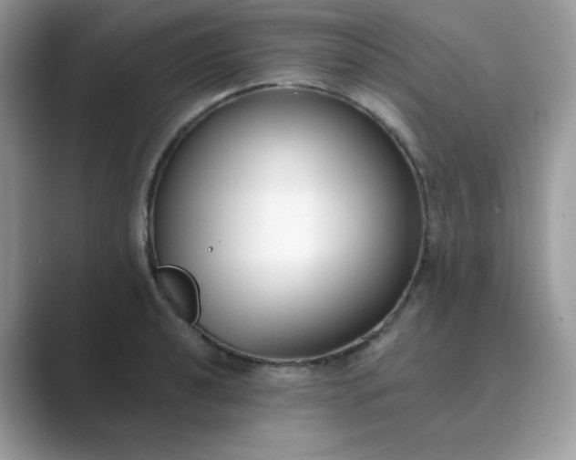 X0000089741040200707051753