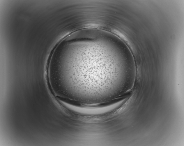 X0000089741042200707051753