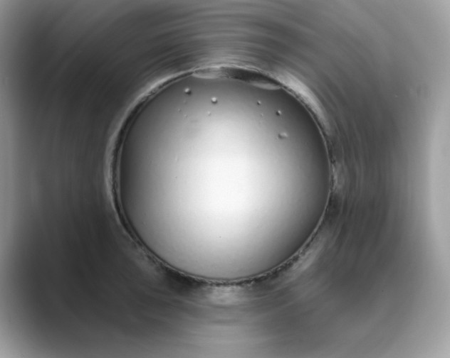 X0000089741043200707051753