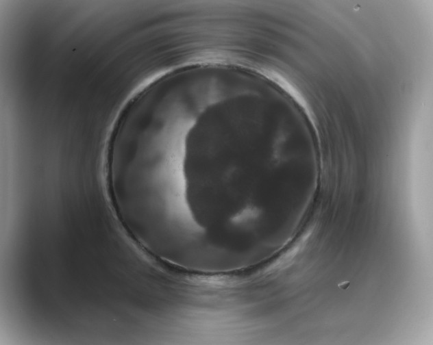 X0000089741045200707051753