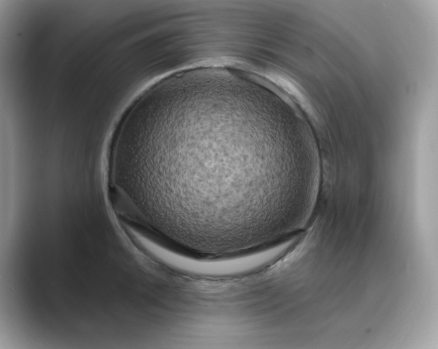 X0000089741046200707051753