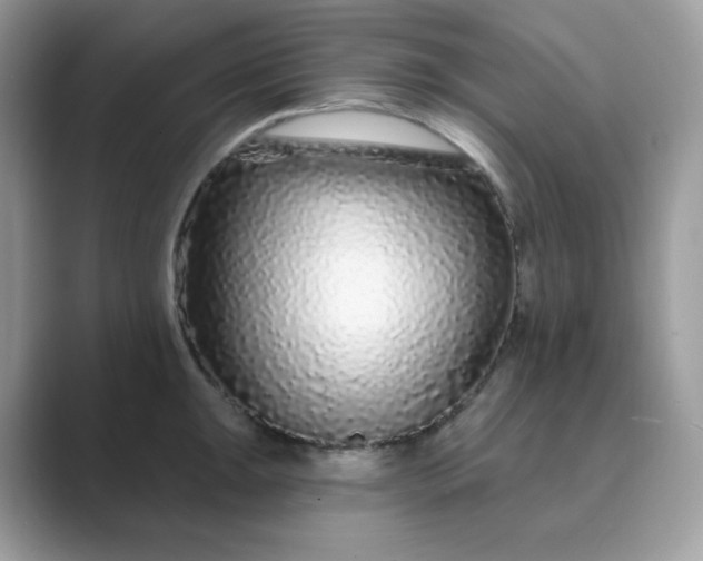 X0000089741047200707051753