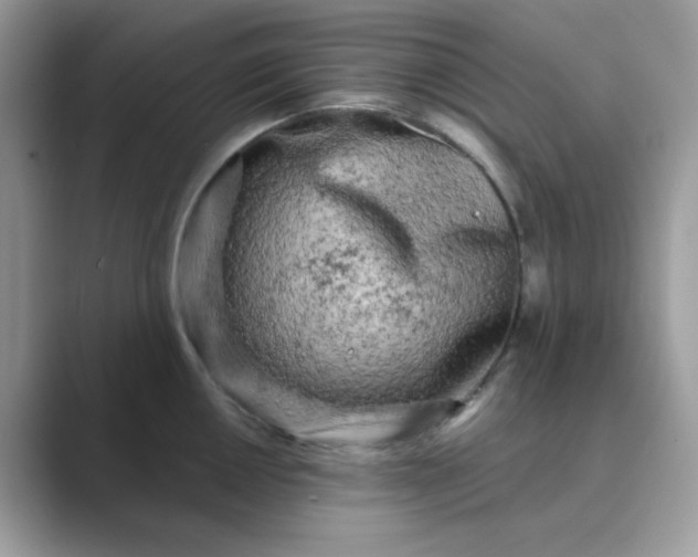 X0000089741050200707051753