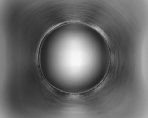 X0000089741052200707051753