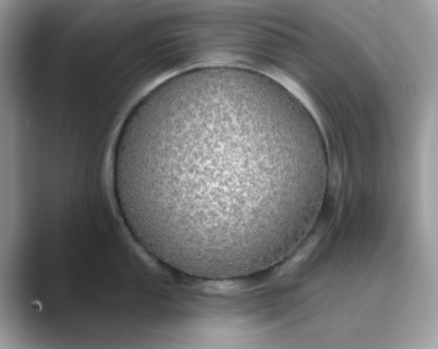 X0000089741053200707051753