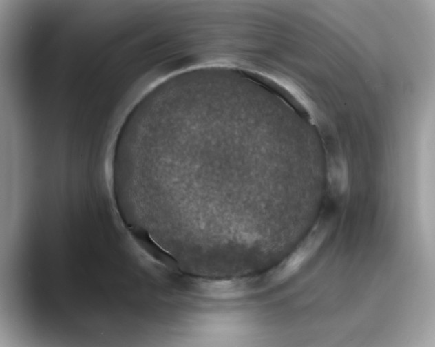 X0000089741054200707051753