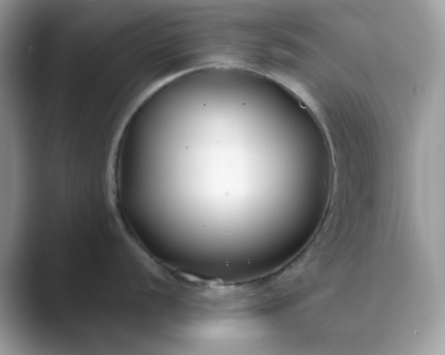 X0000089741056200707051753