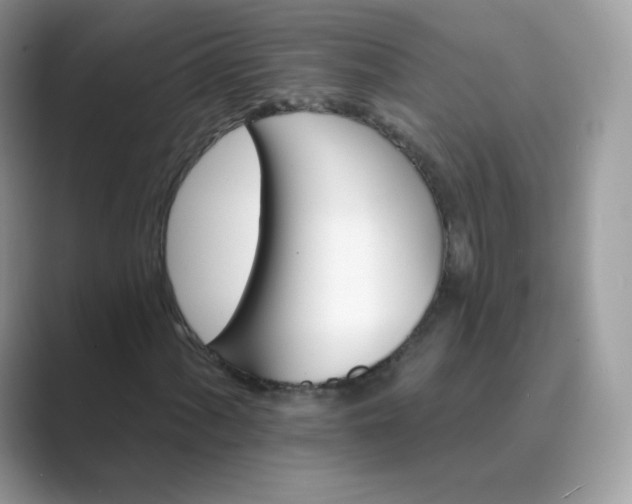 X0000089741060200707051753