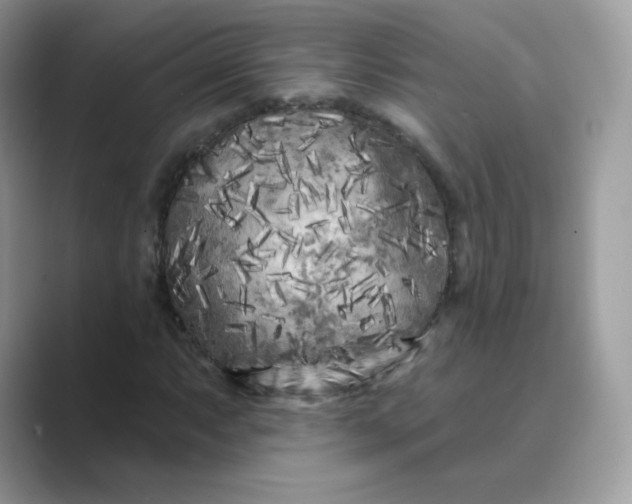 X0000089741063200707051753