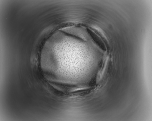 X0000089741064200707051753