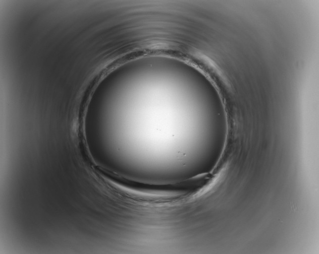 X0000089741065200707051753