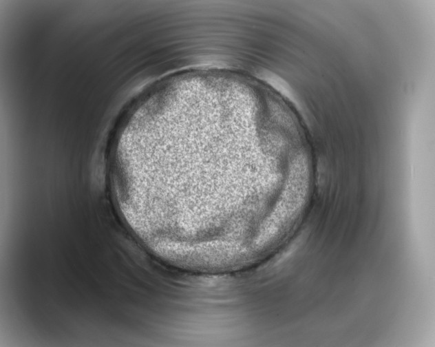 X0000089741067200707051753