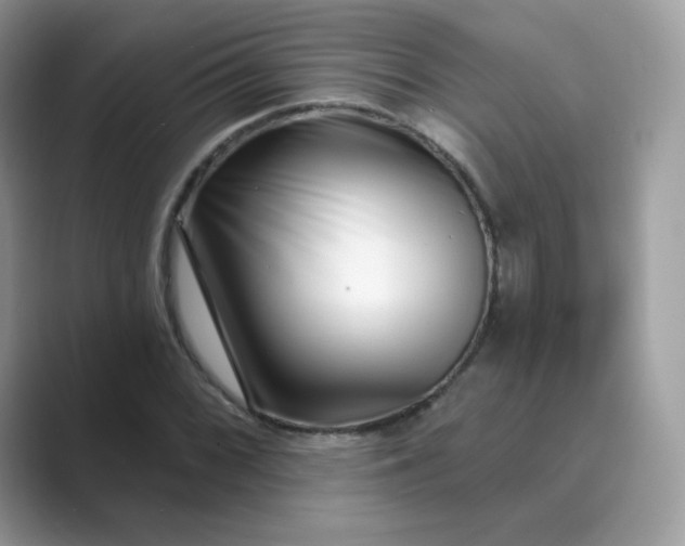 X0000089741068200707051753