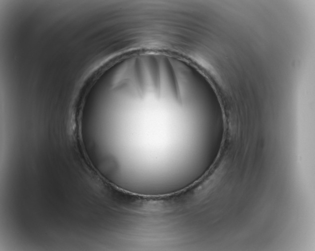 X0000089741070200707051753