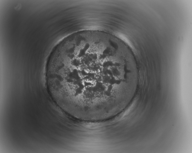 X0000089741071200707051753