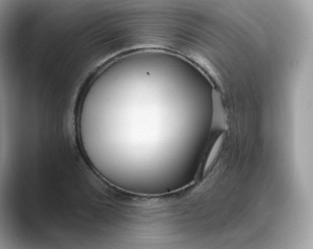 X0000089741072200707051753