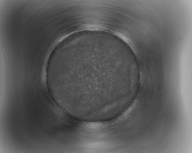 X0000089741074200707051753