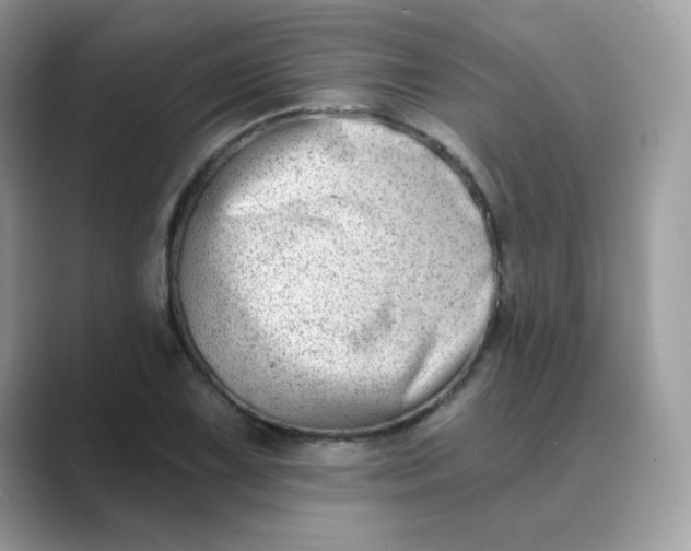 X0000089741075200707051753