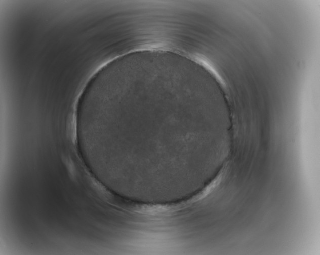 X0000089741079200707051753