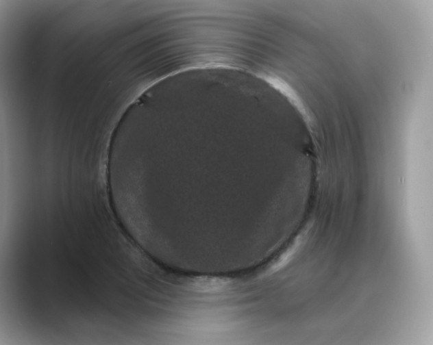 X0000089741081200707051753