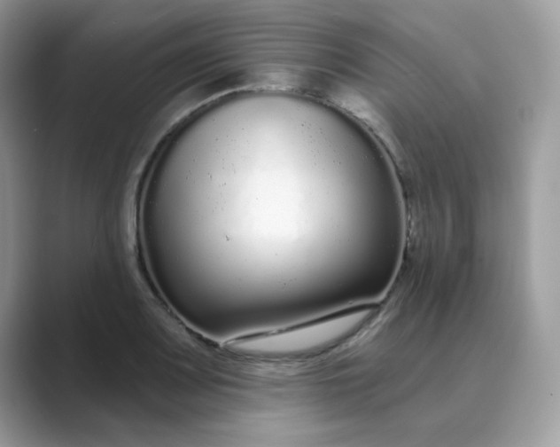 X0000089741083200707051753