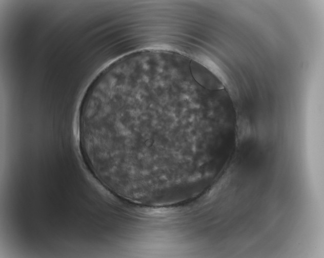 X0000089741084200707051752