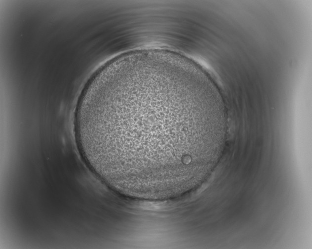 X0000089741086200707051752