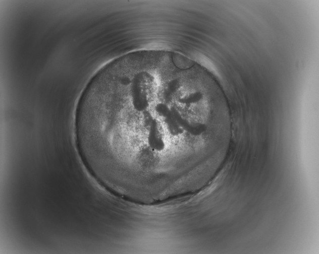 X0000089741087200707051752