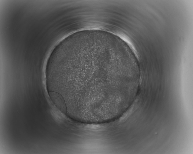 X0000089741088200707051752