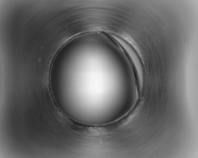 X0000089741089200707051752