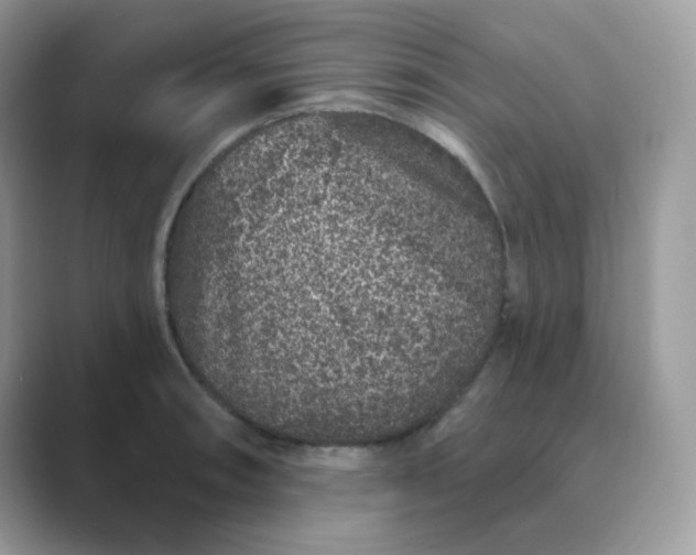 X0000089741090200707051752