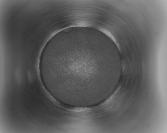 X0000089741091200707051752