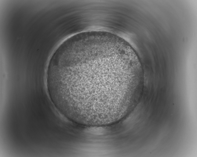 X0000089741094200707051752