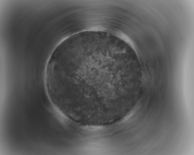 X0000089741095200707051752