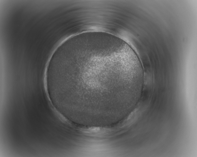 X0000089741098200707051752